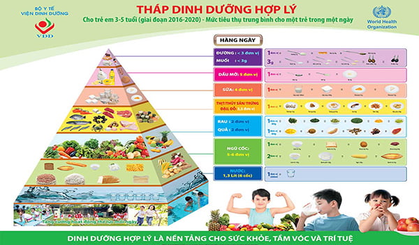 Phó Thủ Tướng Phê Duyệt Chiến Lược Quốc Gia Về Dinh Dưỡng Nhằm Tăng Chiều Cao, Sức Khỏe Người Dân