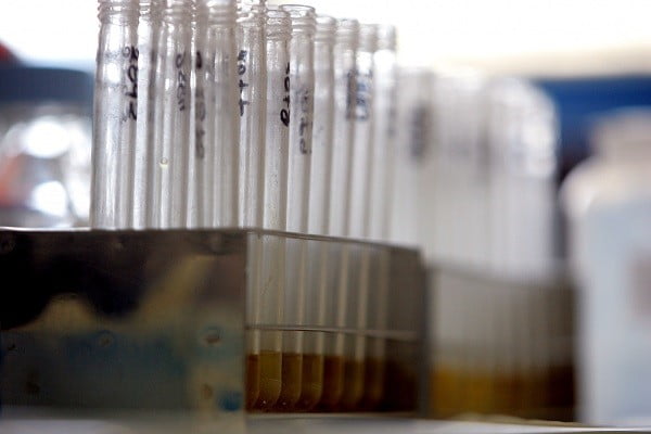 Các Tổ Chức Chống Doping Quốc Gia Kêu Gọi Thông Qua "Nguyên Tắc Hướng Dẫn" Cho Chống Doping Trong Tương Lai