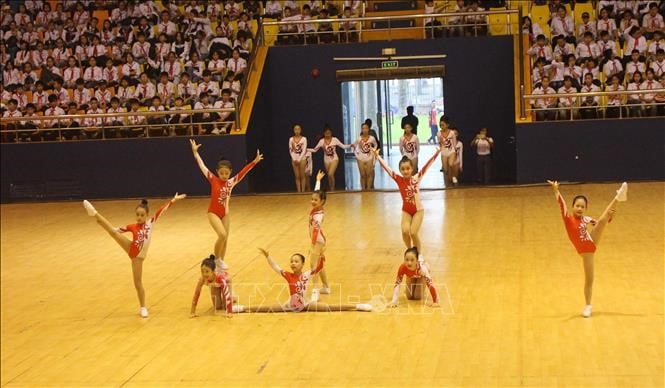 Aerobic Việt Nam: Tập Trung Đào Tạo Vđv Trẻ Kế Cận