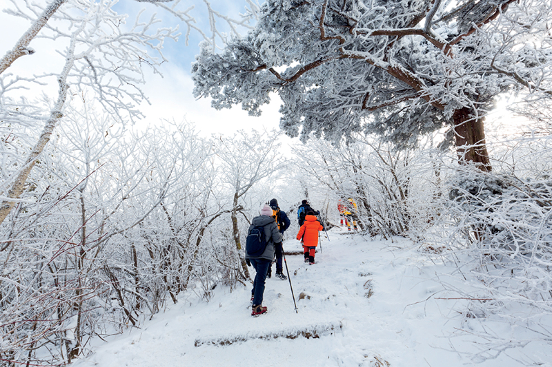 Mãn Nhãn Với Phong Cảnh Diễm Lệ Của Gangwon, Hàn Quốc - Nơi Diễn Ra Thế Vận Hội Olympic Trẻ Mùa Đông 2024 
