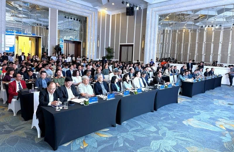 Kinh tế thể thao Việt Nam: Ba trụ cột định hình tương lai ngành công nghiệp tỷ USD