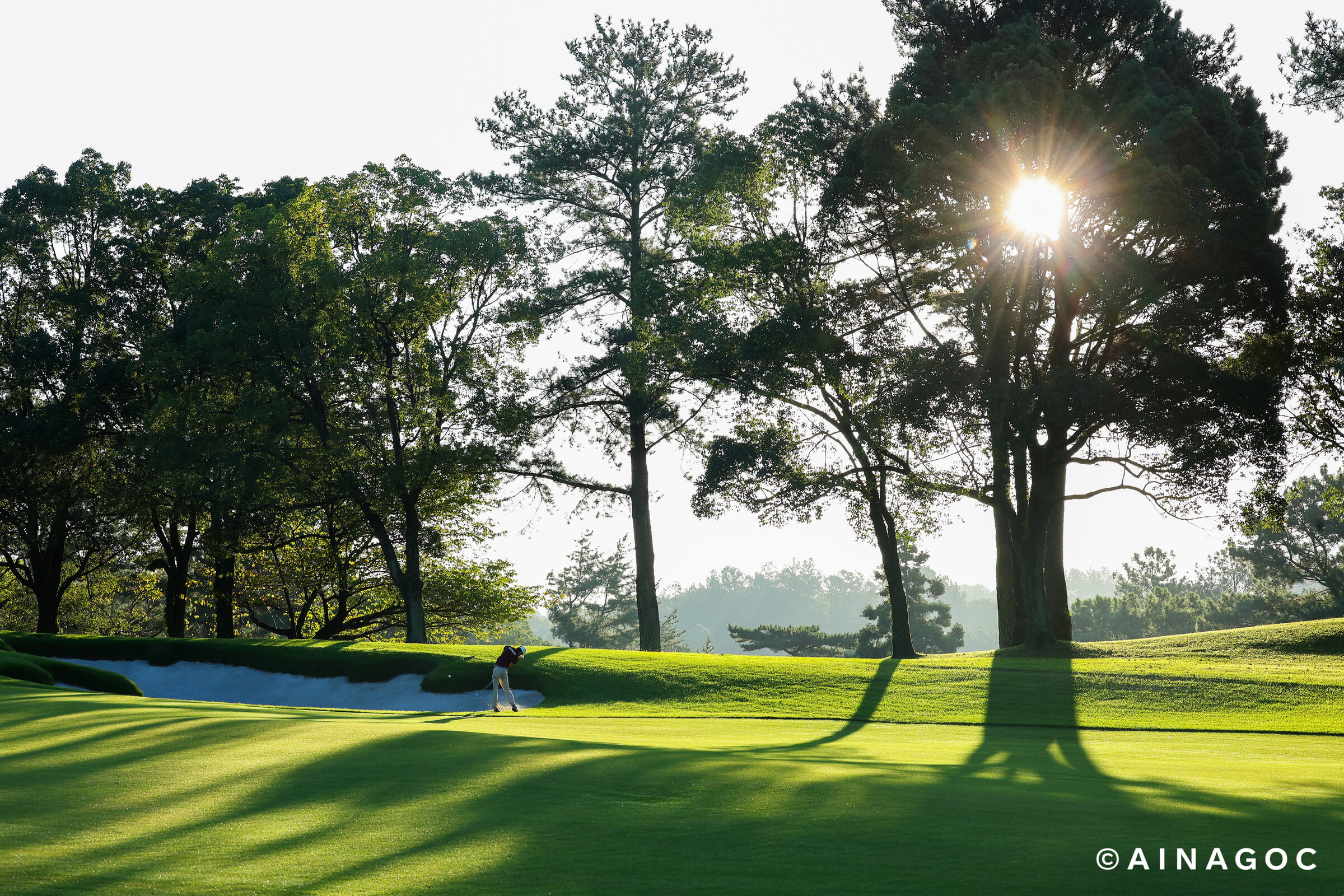 Golf nam ASIAD 2026: Tom Kim đăng quang, Higa Kazuki giành HCB
